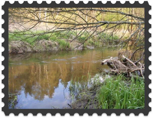 Shrap-Drakers.pl | Shrap Drakers Fishing | Wędkarstwo 