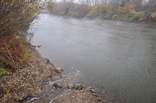 Shrap-Drakers.pl | Shrap Drakers Fishing | Wędkarstwo 