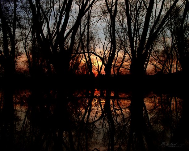Shrap-Drakers.pl | Shrap Drakers Fishing | Wędkarstwo 