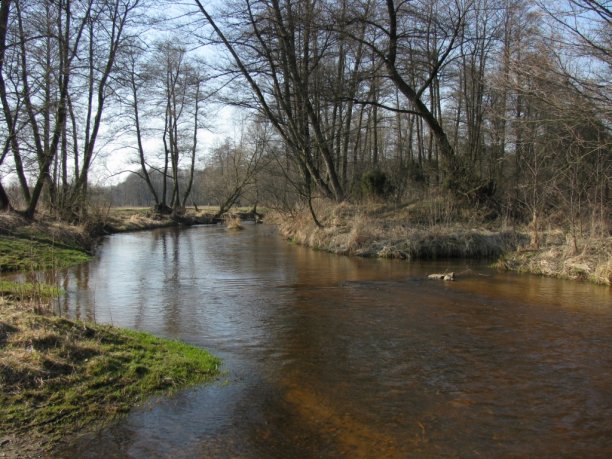 Shrap-Drakers.pl | Shrap Drakers Fishing | Wędkarstwo 