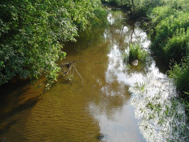 Shrap-Drakers.pl | Shrap Drakers Fishing | Wędkarstwo 