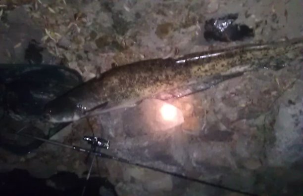 Shrap-Drakers.pl | Shrap Drakers Fishing | Wędkarstwo 