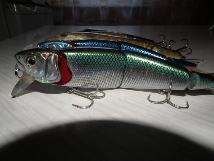 Shrap-Drakers.pl | Shrap Drakers Fishing | Wędkarstwo 