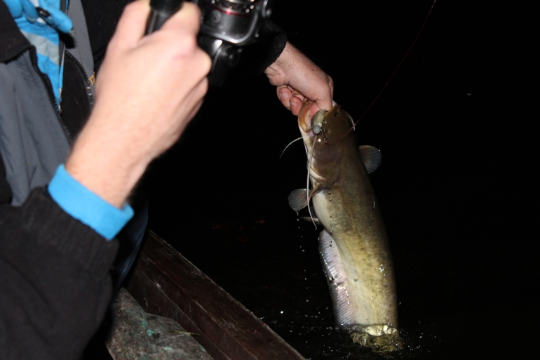 Shrap-Drakers.pl | Shrap Drakers Fishing | Wędkarstwo 