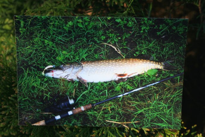 Shrap-Drakers.pl | Shrap Drakers Fishing | Wędkarstwo 