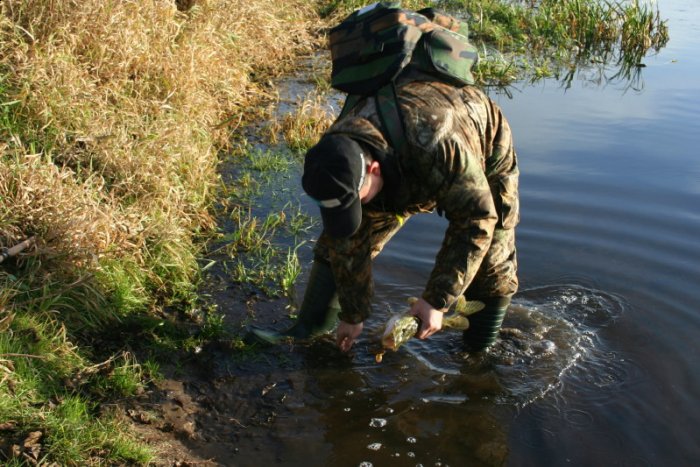 Shrap-Drakers.pl | Shrap Drakers Fishing | Wędkarstwo 