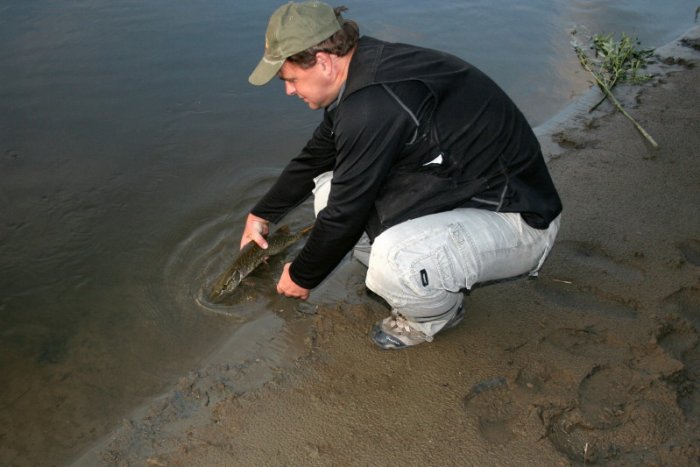 Shrap-Drakers.pl | Shrap Drakers Fishing | Wędkarstwo 