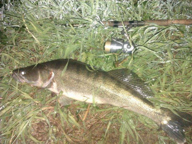 Shrap-Drakers.pl | Shrap Drakers Fishing | Wędkarstwo 