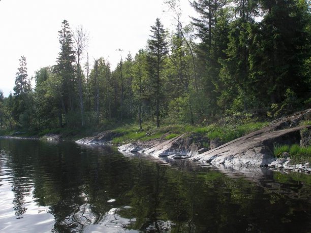 Shrap-Drakers.pl | Shrap Drakers Fishing | Wędkarstwo 