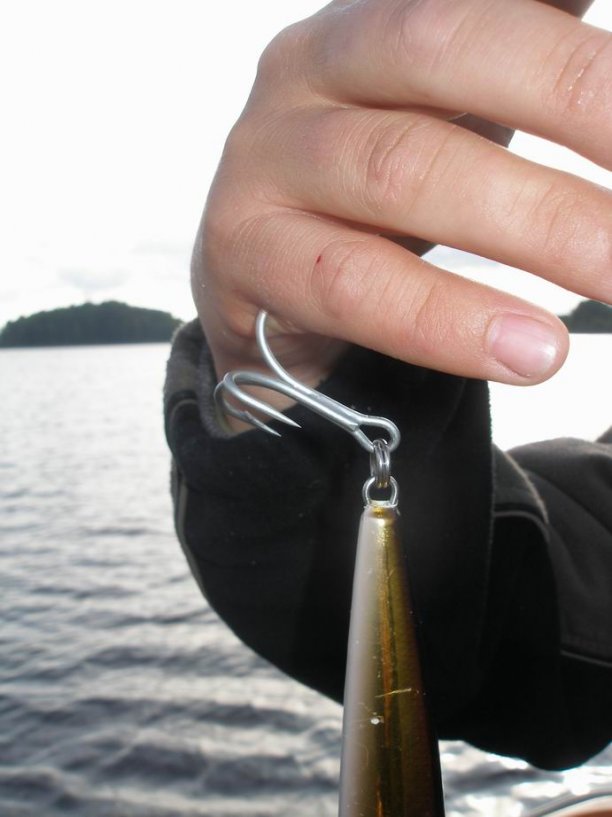 Shrap-Drakers.pl | Shrap Drakers Fishing | Wędkarstwo 