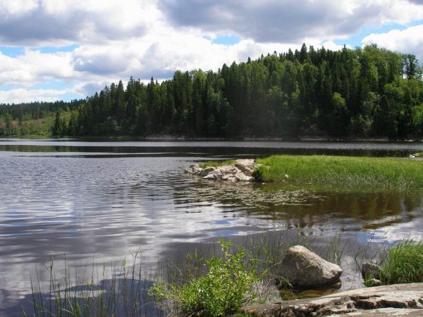 Shrap-Drakers.pl | Shrap Drakers Fishing | Wędkarstwo 