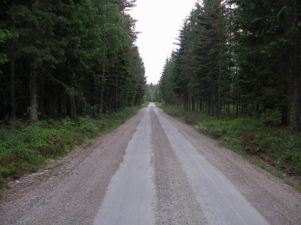 Shrap-Drakers.pl | Shrap Drakers Fishing | Wędkarstwo 