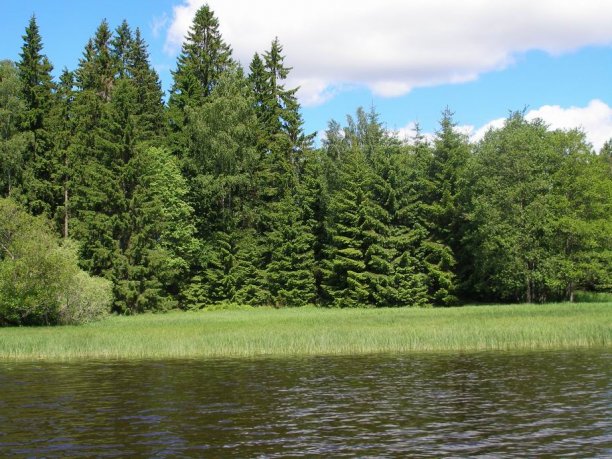 Shrap-Drakers.pl | Shrap Drakers Fishing | Wędkarstwo 