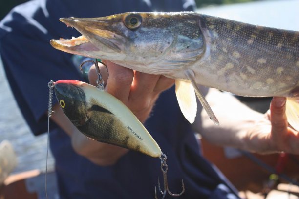 Shrap-Drakers.pl | Shrap Drakers Fishing | Wędkarstwo 