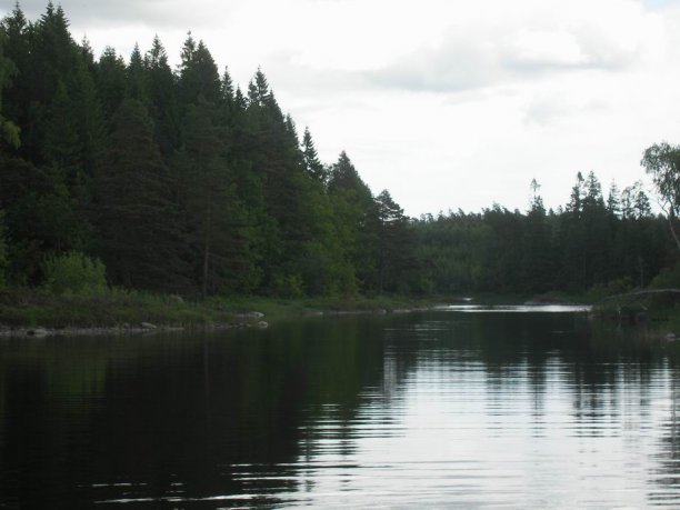 Shrap-Drakers.pl | Shrap Drakers Fishing | Wędkarstwo 