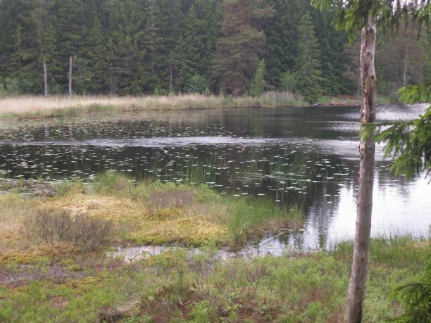 Shrap-Drakers.pl | Shrap Drakers Fishing | Wędkarstwo 