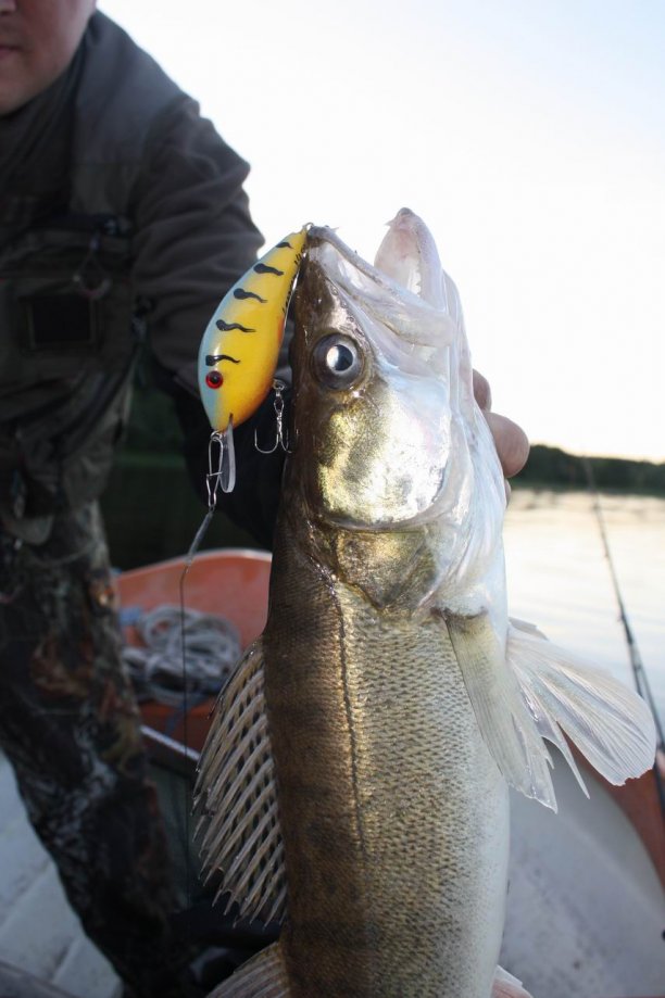 Shrap-Drakers.pl | Shrap Drakers Fishing | Wędkarstwo 