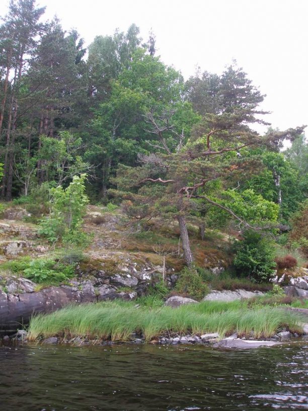 Shrap-Drakers.pl | Shrap Drakers Fishing | Wędkarstwo 