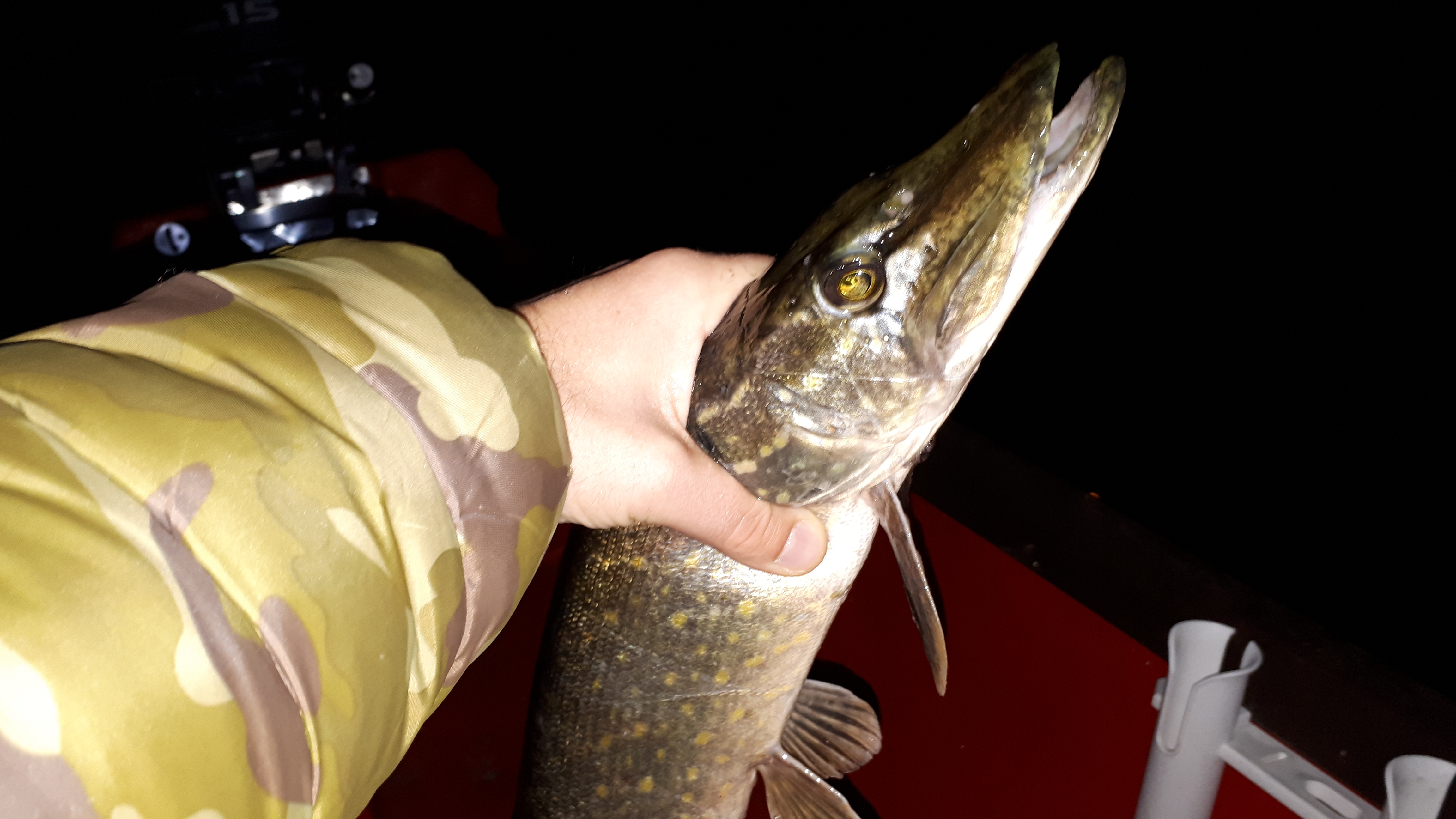 Shrap-Drakers.pl | Shrap Drakers Fishing | Wędkarstwo 