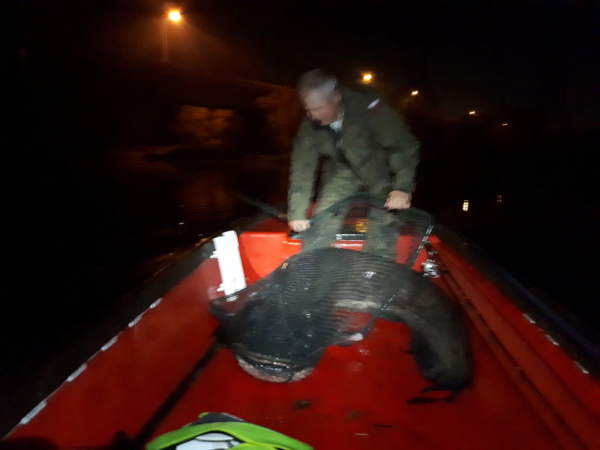 Shrap-Drakers.pl | Shrap Drakers Fishing | Wędkarstwo 