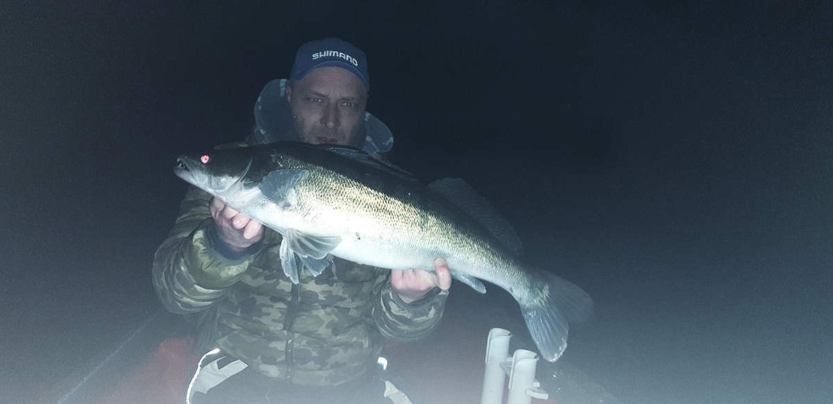 Sandaczowy sezon na Narwi - 2019