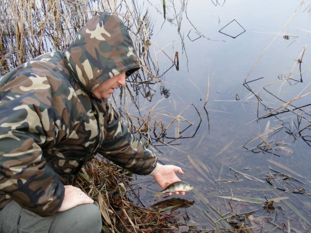 Shrap-Drakers.pl | Shrap Drakers Fishing | Wędkarstwo 
