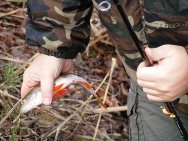 Shrap-Drakers.pl | Shrap Drakers Fishing | Wędkarstwo 