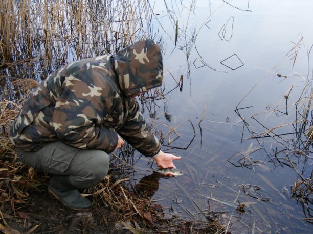 Shrap-Drakers.pl | Shrap Drakers Fishing | Wędkarstwo 