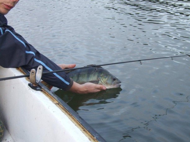 Shrap-Drakers.pl | Shrap Drakers Fishing | Wędkarstwo 