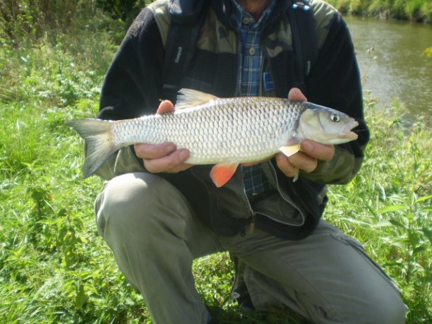 Shrap-Drakers.pl | Shrap Drakers Fishing | Wędkarstwo 