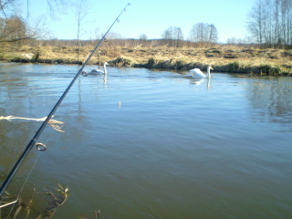 Shrap-Drakers.pl | Shrap Drakers Fishing | Wędkarstwo 