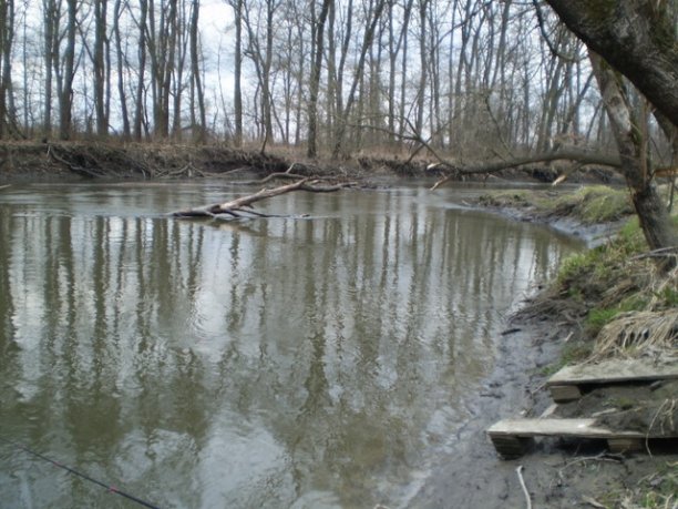 Shrap-Drakers.pl | Shrap Drakers Fishing | Wędkarstwo 