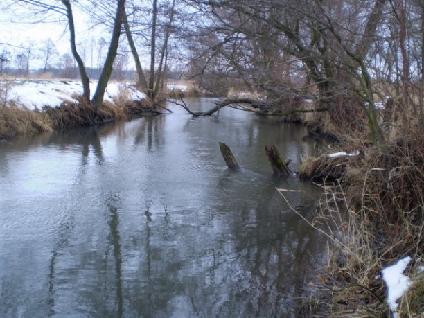 Shrap-Drakers.pl | Shrap Drakers Fishing | Wędkarstwo 