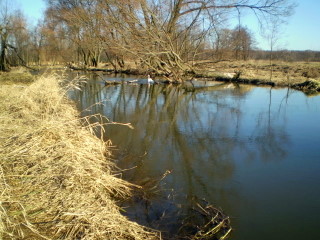 Shrap-Drakers.pl | Shrap Drakers Fishing | Wędkarstwo 