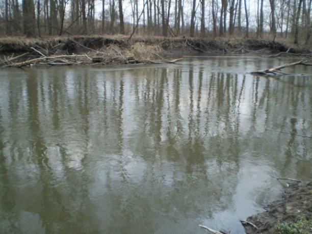 Shrap-Drakers.pl | Shrap Drakers Fishing | Wędkarstwo 