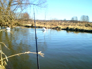 Shrap-Drakers.pl | Shrap Drakers Fishing | Wędkarstwo 