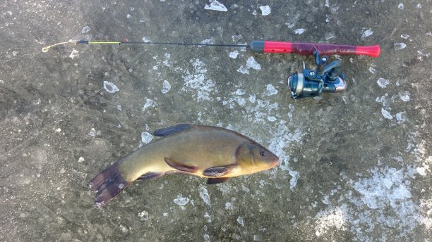 Shrap-Drakers.pl | Shrap Drakers Fishing | Wędkarstwo 