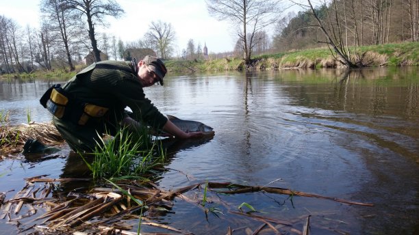 Shrap-Drakers.pl | Shrap Drakers Fishing | Wędkarstwo 