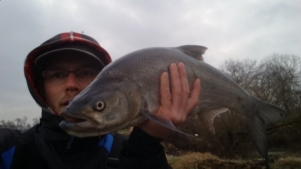 Shrap-Drakers.pl | Shrap Drakers Fishing | Wędkarstwo 