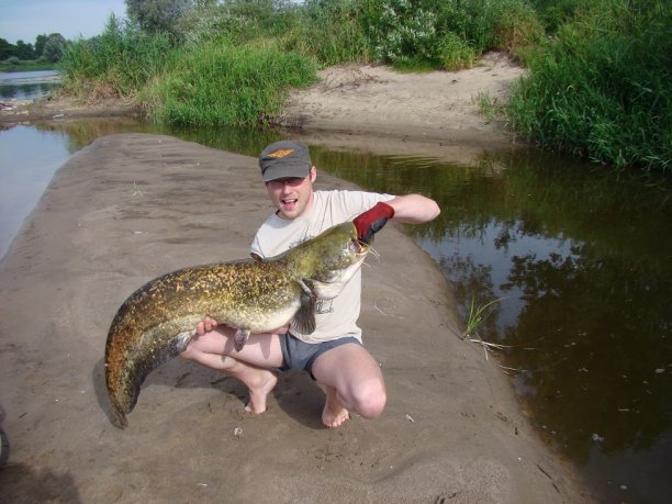 Shrap-Drakers.pl | Shrap Drakers Fishing | Wędkarstwo 