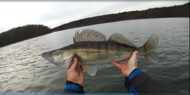 Shrap-Drakers.pl | Shrap Drakers Fishing | Wędkarstwo 