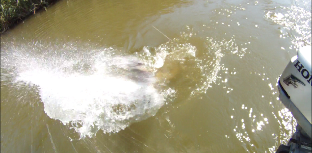 Shrap-Drakers.pl | Shrap Drakers Fishing | Wędkarstwo 