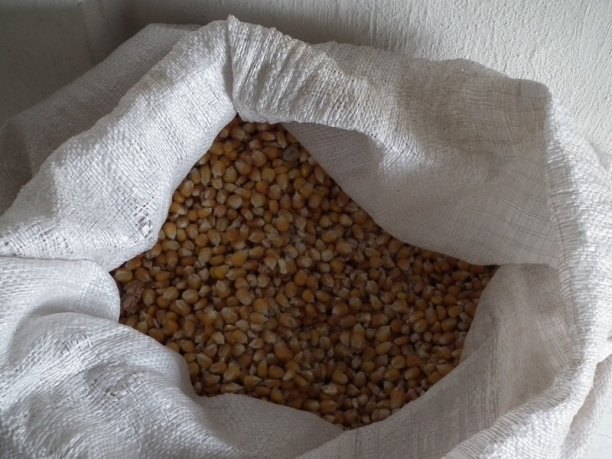 Shrap-Drakers.pl | Shrap Drakers Fishing | Wędkarstwo 