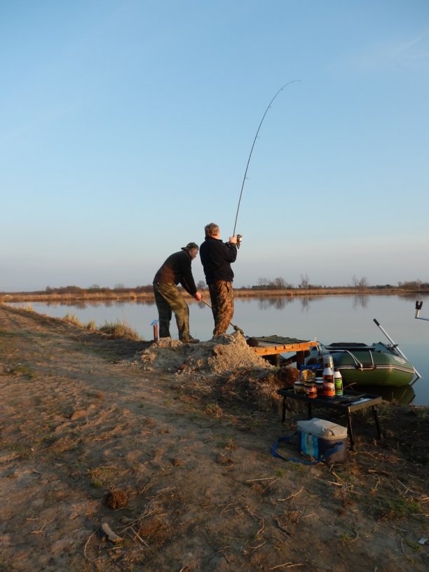 Shrap-Drakers.pl | Shrap Drakers Fishing | Wędkarstwo 