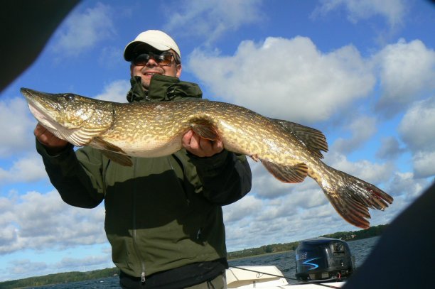 Shrap-Drakers.pl | Shrap Drakers Fishing | Wędkarstwo 