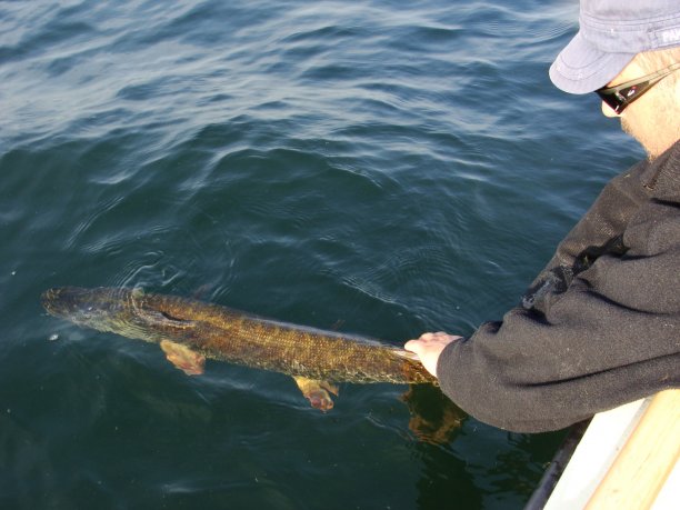 Shrap-Drakers.pl | Shrap Drakers Fishing | Wędkarstwo 