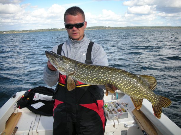 Shrap-Drakers.pl | Shrap Drakers Fishing | Wędkarstwo 