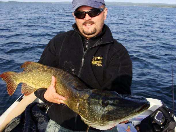 Shrap-Drakers.pl | Shrap Drakers Fishing | Wędkarstwo 