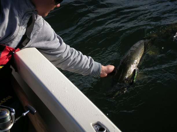 Shrap-Drakers.pl | Shrap Drakers Fishing | Wędkarstwo 