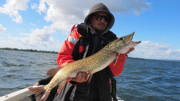 Shrap-Drakers.pl | Shrap Drakers Fishing | Wędkarstwo 